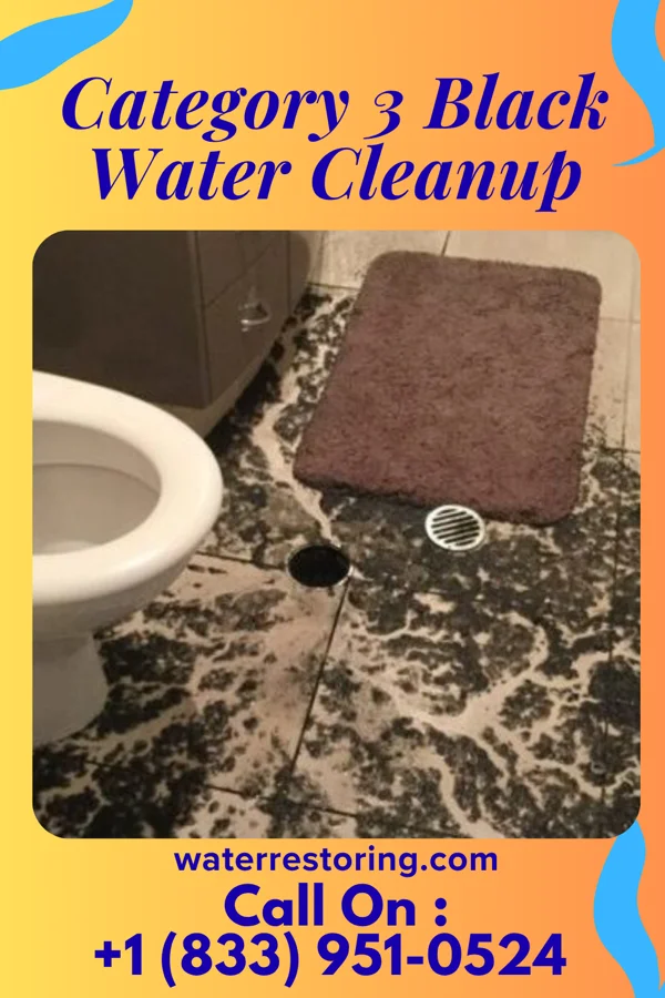 Category 3 Black Water Cleanup in Paden, OK