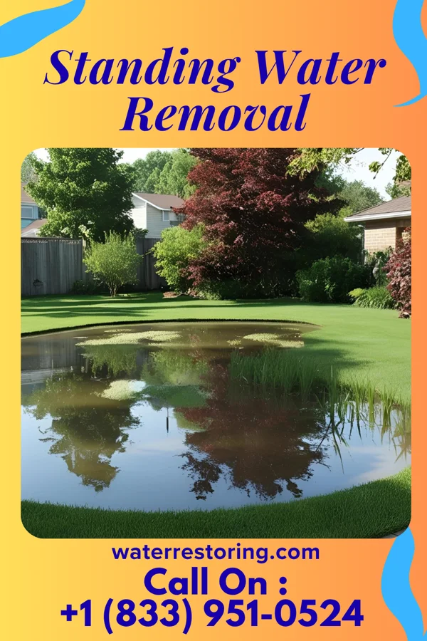 Standing Water Removal in Paden, OK